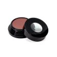 VINCENT LONGO Water Canvas Blush TERRA DEW 0.4oz - Imperfect Box Online now