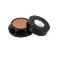 VINCENT LONGO Water Canvas Blush CLOVER MIST 0.4oz - Imperfect Box on Sale